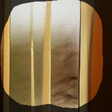 layer0-1451