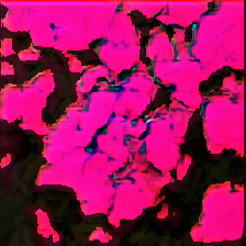 layer4-254