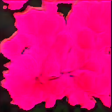 layer4-254