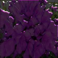 layer5-45