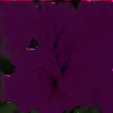 layer5-45
