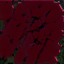layer5-45