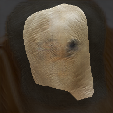 layer0-1955