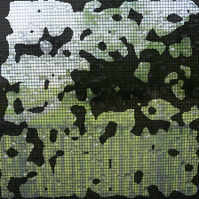 blocks.1.mlp.fc1-76