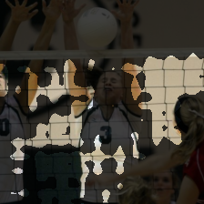 blocks.9.mlp.fc1-72