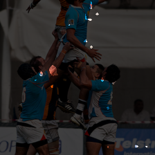 blocks.0.mlp.fc1-13