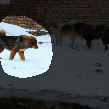layer4-479