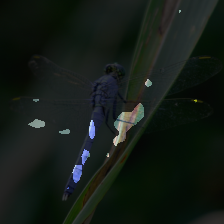 layer2-112