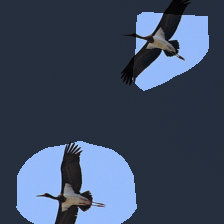 layer4-241