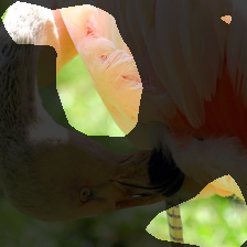 layer4-1022