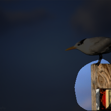 layer4-1753