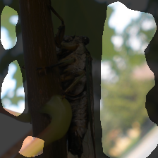 layer3-339