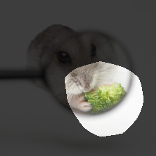 layer4-533