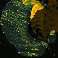 layer4-533