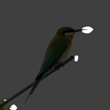 layer2-216