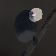 layer3-531