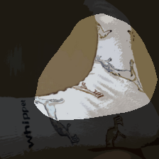 layer4-1186