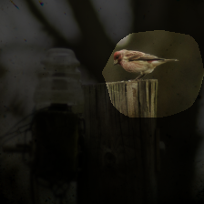 layer4-695