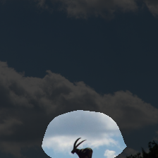 layer4-1278