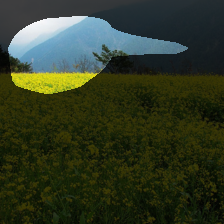 layer4-393