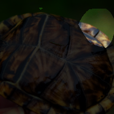 layer4-602