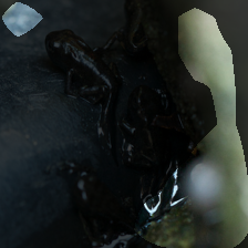 layer4-602