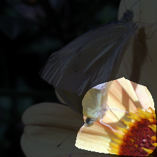 layer4-1394