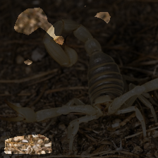 layer3-439