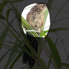 layer4-665