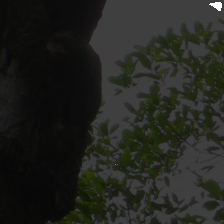 layer2-279