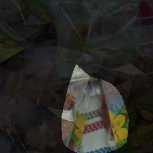 layer4-235