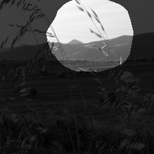 layer4-273