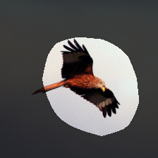 layer4-1080