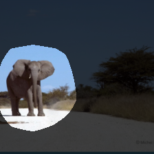 layer4-1504