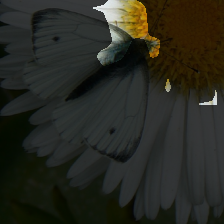 layer3-272
