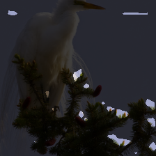 layer2-145