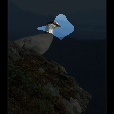 layer3-484