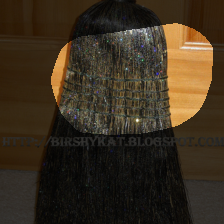 layer4-701
