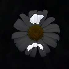 layer2-282