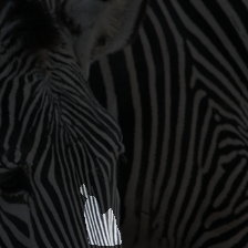 layer2-282