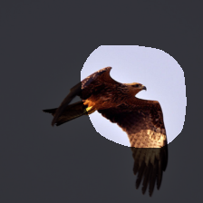 layer4-1637