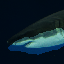 layer3-516