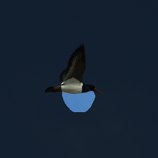 layer3-516
