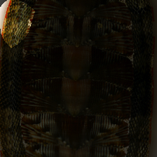 layer4-1447