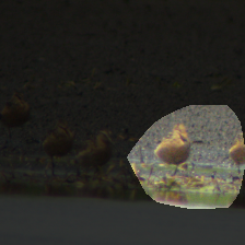 layer4-627