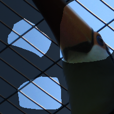 layer4-1497