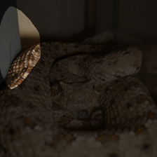 layer4-753