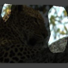 layer4-134