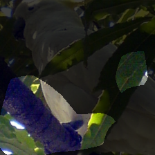 layer4-134