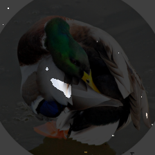 layer2-403